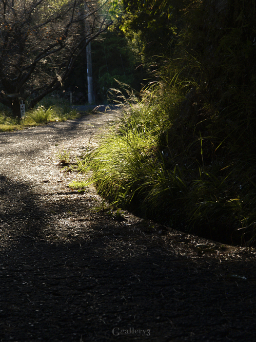 _A290275E-1_14-54.jpg