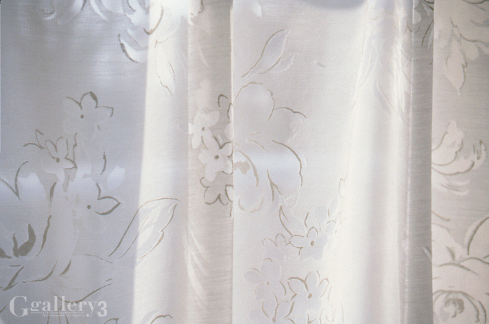 curtain.jpg