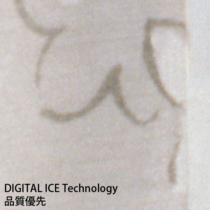 curtain001.jpg