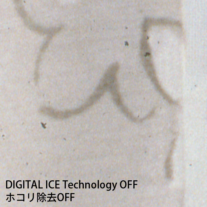 curtain003.jpg