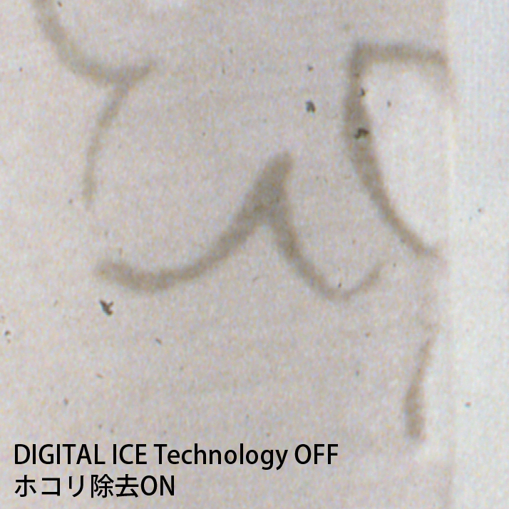 curtain004.jpg