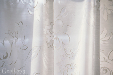 curtain_m.jpg