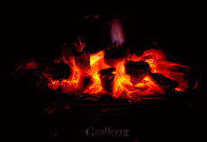 eos-1_fire01m.jpg