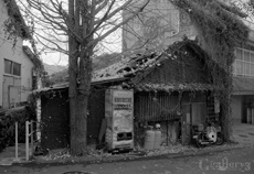 eos1_03m.jpg