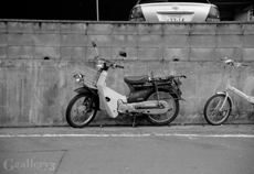 eos1_14m.jpg