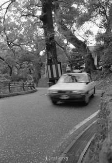 eos1_18m.jpg