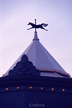 eos_020m.jpg