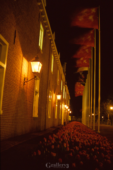 eos_028m.jpg