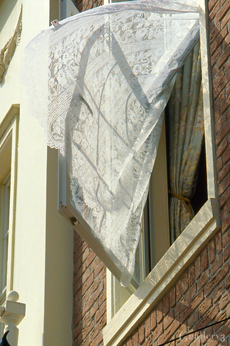eos_033m.jpg