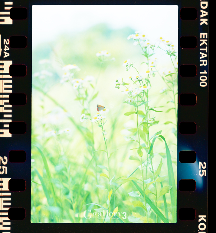 om-1_17_n008.jpg