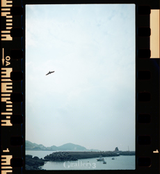 om-1_17_n011m.jpg