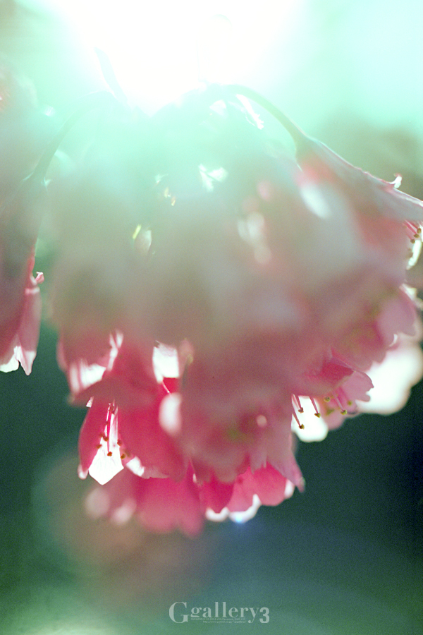 om-1_50_16-620165.jpg