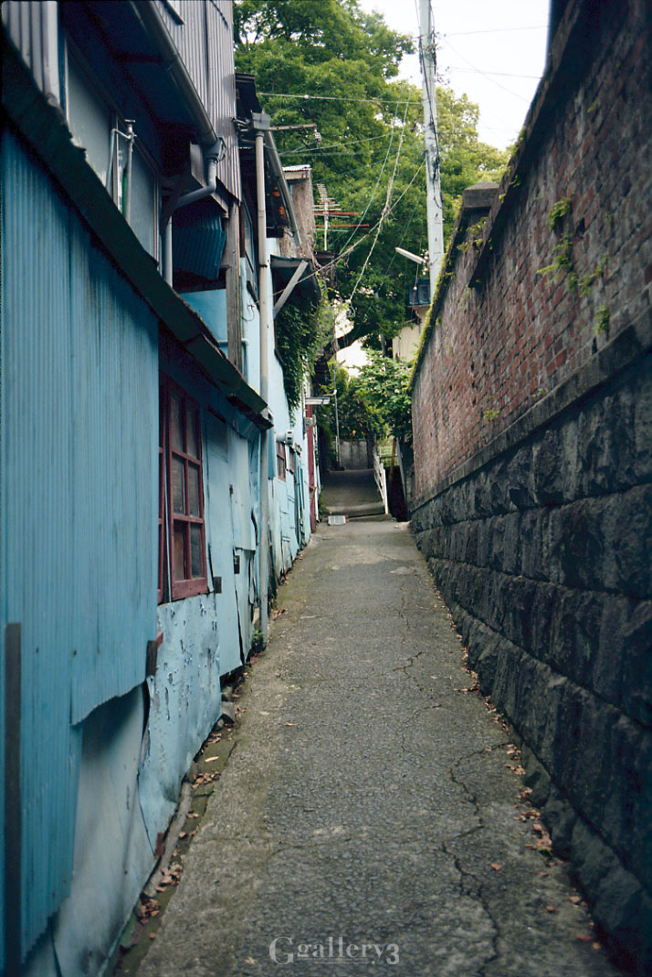 om-1_gt-x970.jpg