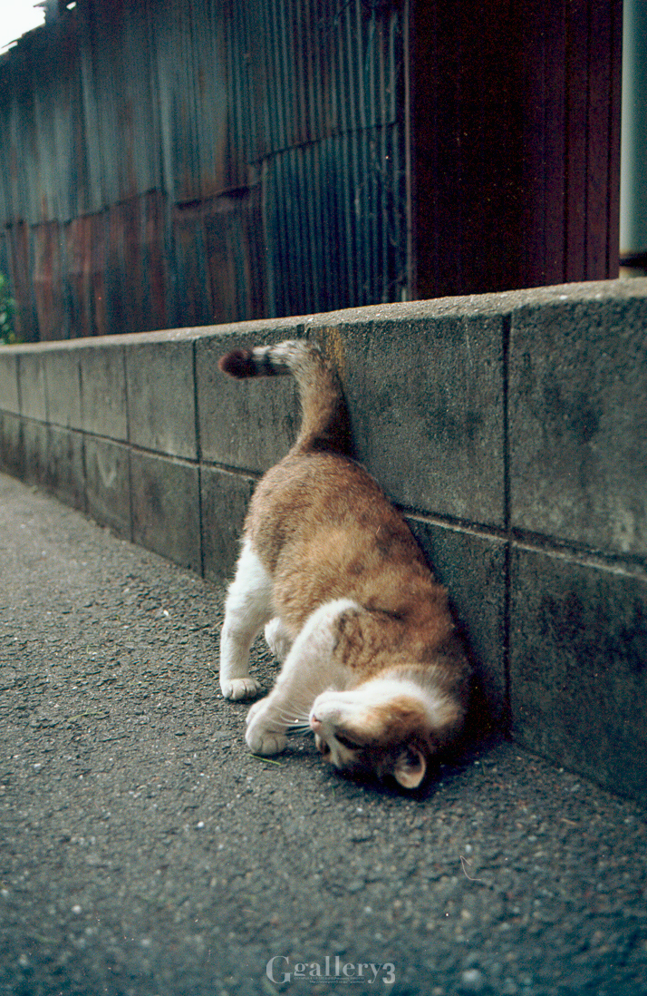 om0012_2.jpg
