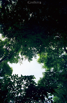 om0035m.jpg