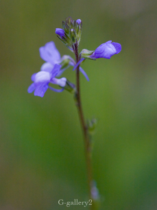 p5238163-LR.jpg