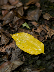 p6230073-LR.jpg