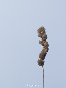 p6230135-LR.jpg