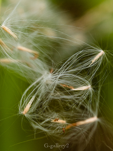 p6300138-LR.jpg