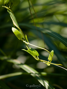 p8208947-LR.jpg