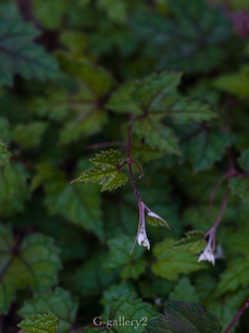 p9099560-LR.jpg