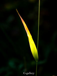 pb032272-2LR.jpg