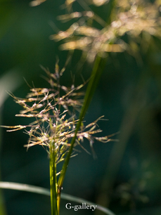 pb032278-2LR.jpg