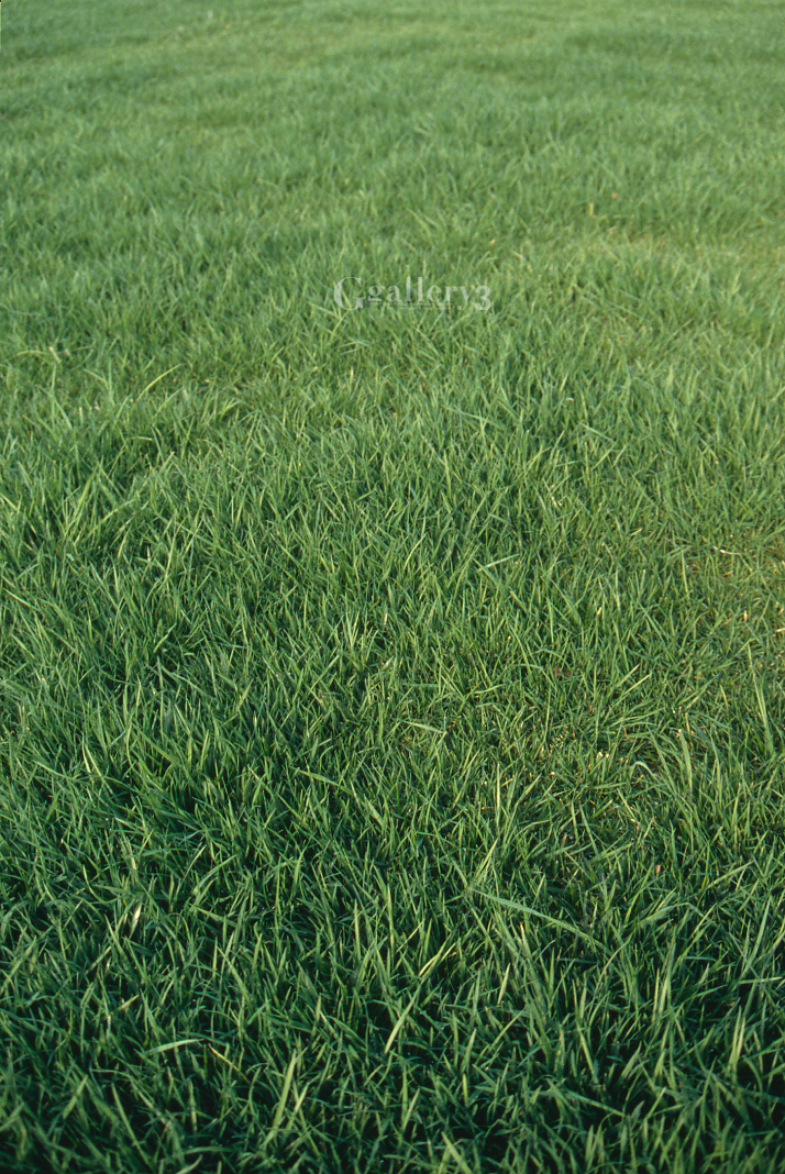 sharpness_jyaku.jpg