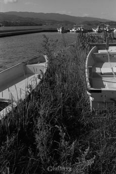 trix_008m.jpg