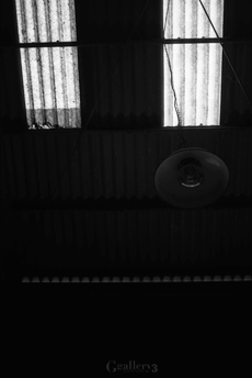trix_012m.jpg