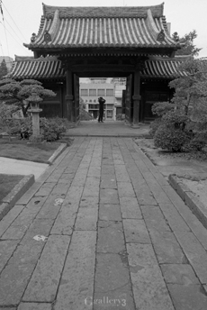 trix_030m.jpg
